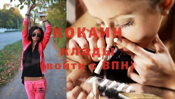не бодяженный Алексин