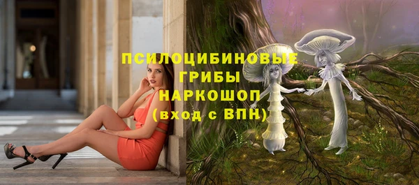 не бодяженный Алексин