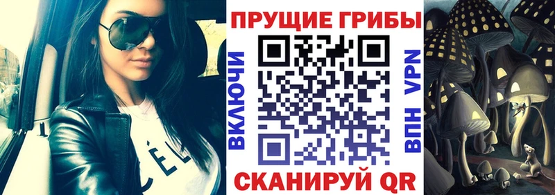 Псилоцибиновые грибы прущие грибы  сколько стоит  Галич 
